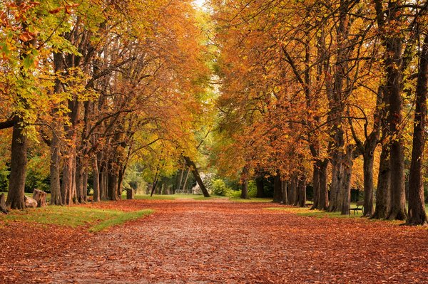 Quels styles de chaussures à talons conviennent pour une soirée dansante?
